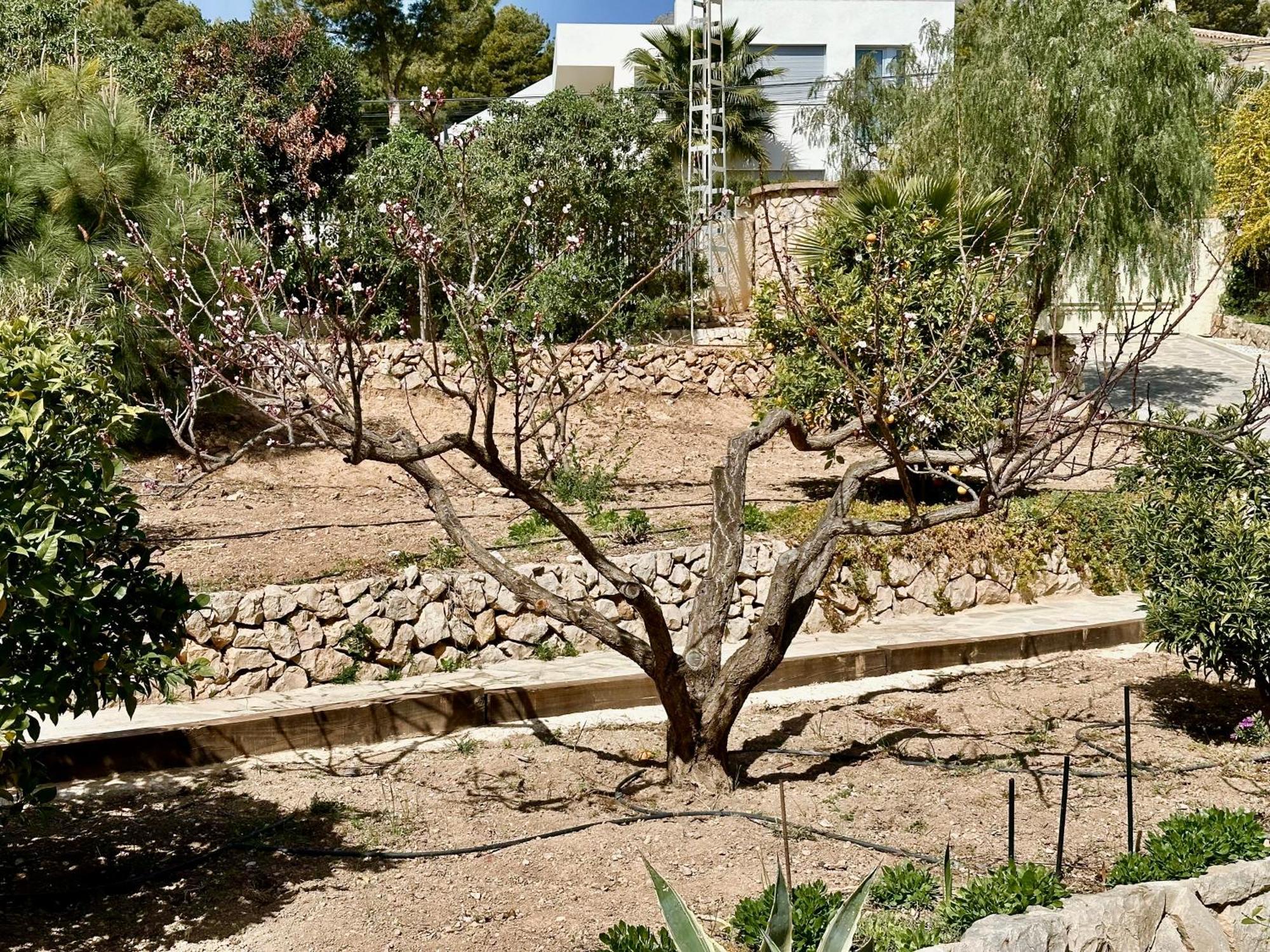 Casa Puput Villa Altea Eksteriør billede